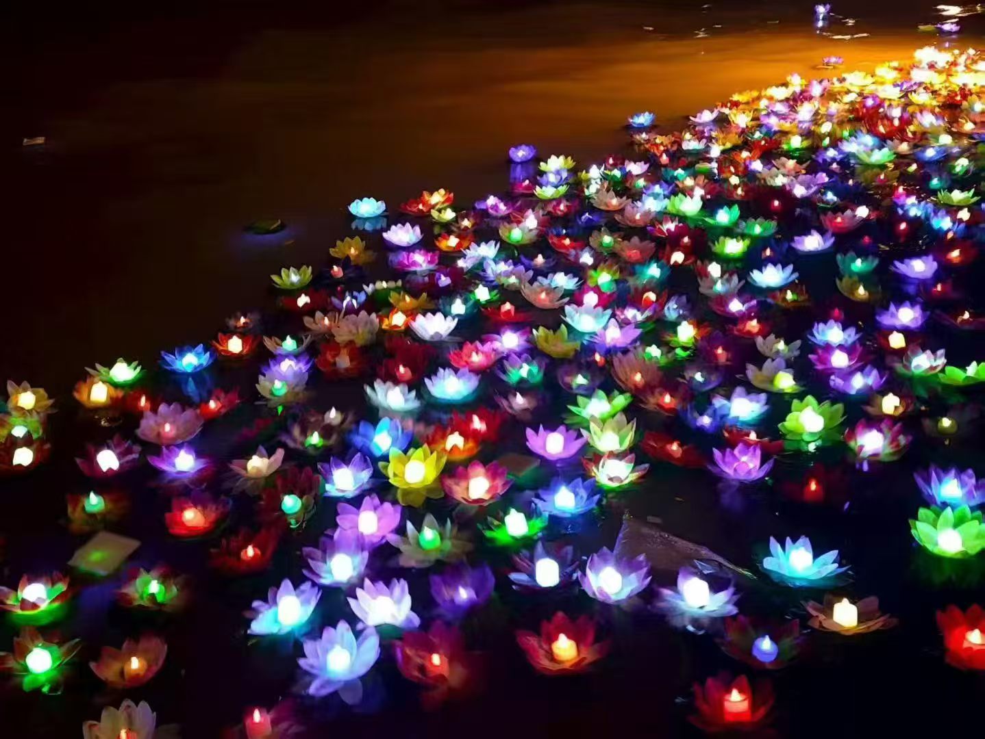 微信图片_20260827200853_617_20.jpg